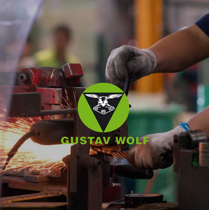 Sistemi di Trazione Moderna: La Qualità Gustav Wolf